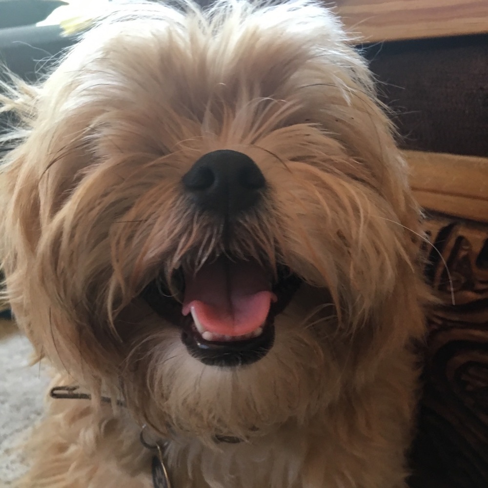 Meet your Posher, Lorraine